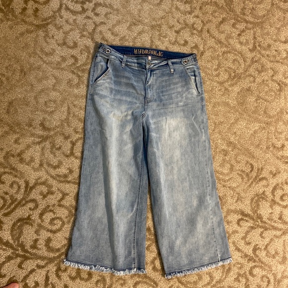 Hydraulic | High rise, wide freyed bottoms - Picture 2 of 14